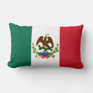 Flagge der Mexikanischen Republik: 1824-1835, Sant Lendenkissen
