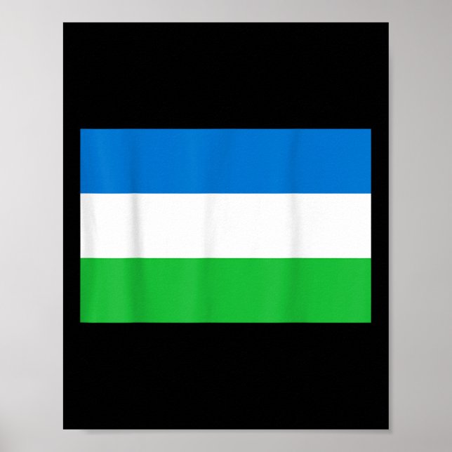 Flagge der Republik Molossia Poster (Vorne)