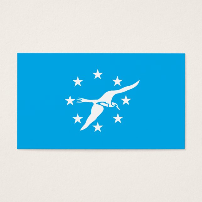 Flagge der Stadt Corpus Christi (Vorderseite)