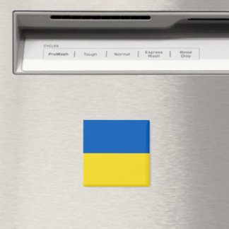 Flagge der Ukraine Magnet