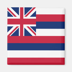Flagge des Bundesstaates Hawaii Magnet