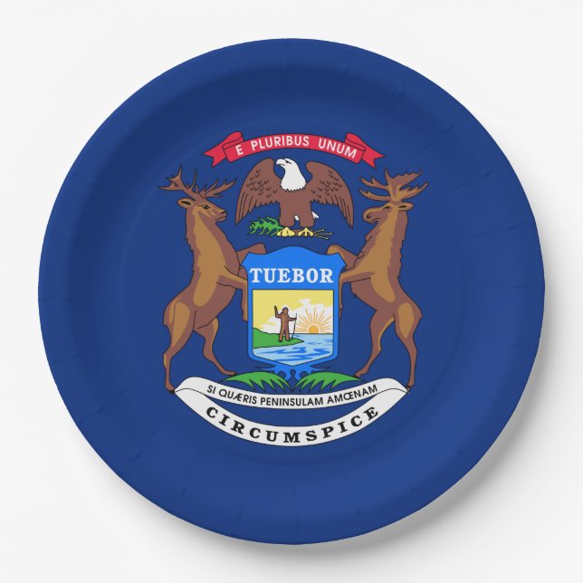 Flagge des Bundesstaates Michigan Pappteller (Vorderseite)