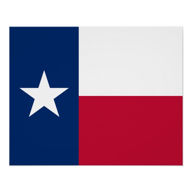 Flagge des Bundesstaates Texas Poster (Vorderseite)