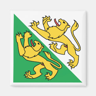 Flagge des Kantons Thurgau, Schweiz Magnet
