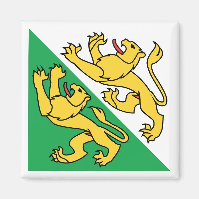 Flagge des Kantons Thurgau, Schweiz Magnet (Vorne)