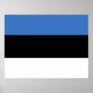 Flagge Estlands Poster
