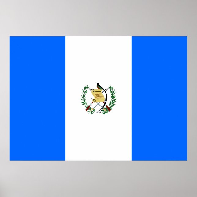 Flagge Guatemalas Poster (Vorne)