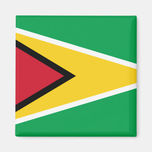Flagge Guyana (Guyana) Magnet