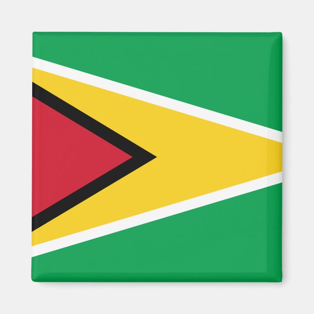Flagge Guyana (Guyana) Magnet (Vorne)