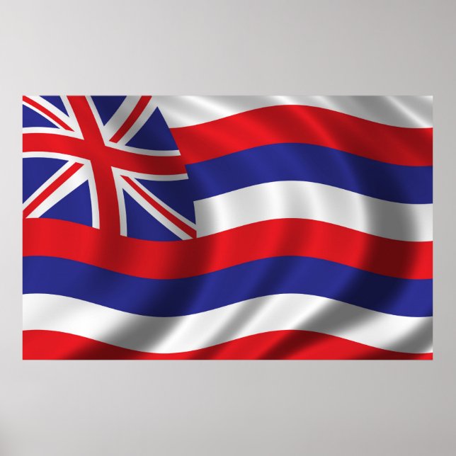 Flagge Hawaiis Poster (Vorne)