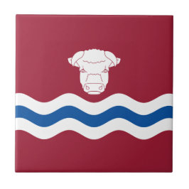Flagge Herefordshire (Landkreis des Vereinigten Kö Fliese