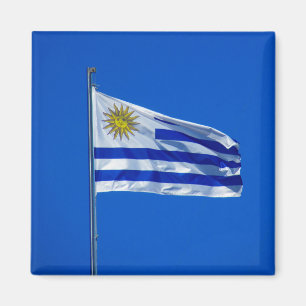 Flagge Magnet