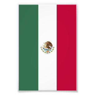 Flagge Mexikos Fotodruck