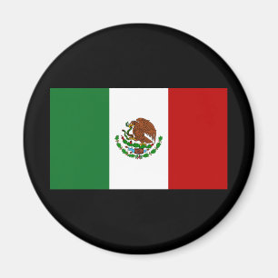 Flagge Mexikos Magnet
