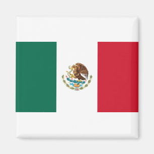 Flagge Mexikos Magnet