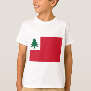 Flagge New England T-Shirt