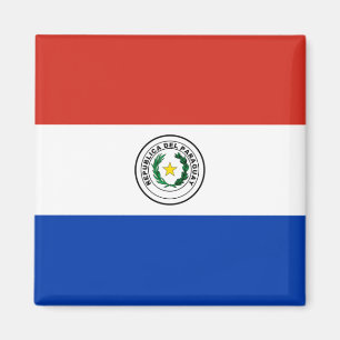 Flagge Paraguays Magnet