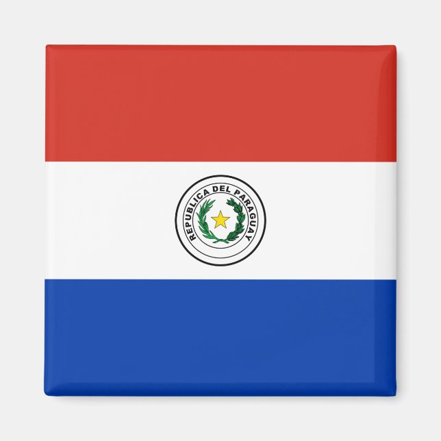 Flagge Paraguays Magnet (Vorne)
