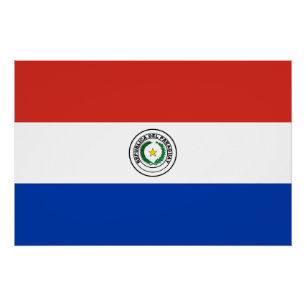 Flagge Paraguays Poster