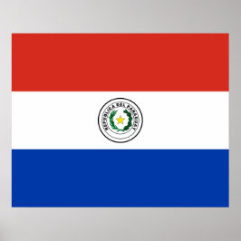 Flagge Paraguays Poster