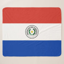 Flagge Paraguays