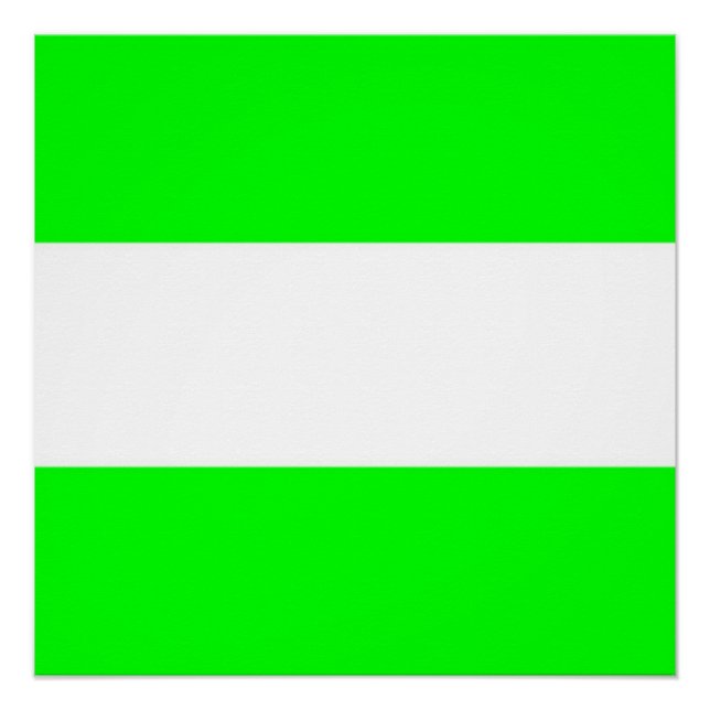Flagge Rotterdams Poster (Vorderseite)