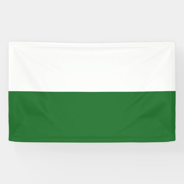 Flagge Sachsens (deutscher Staat) Banner (Horizontal)