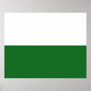Flagge Sachsens (deutscher Staat) Poster