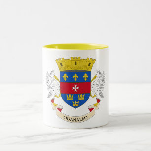 Flagge Saint Barthélemy Zweifarbige Tasse