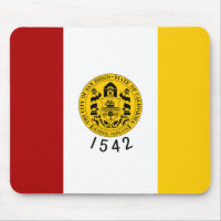 Flagge San Diego
