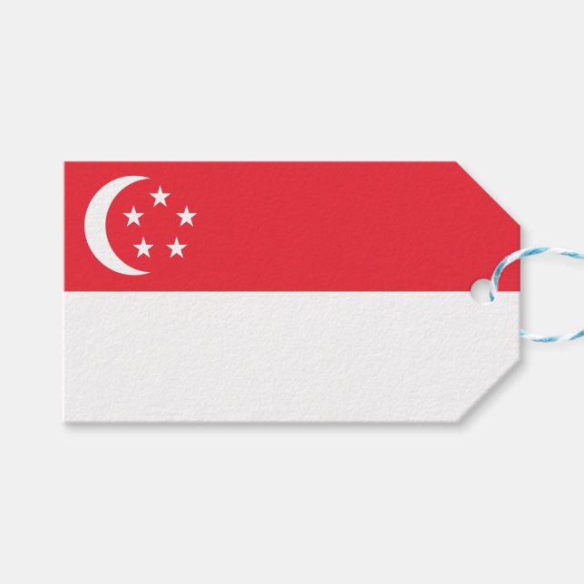 Flagge Singapurs Geschenkanhänger (Vorderseite (Horizontal))
