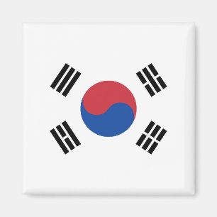 Flagge Südkoreas Magnet