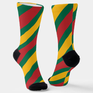 Flagge und Wappen Litauens Socken