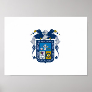 Flagge von Aguascalientes Poster