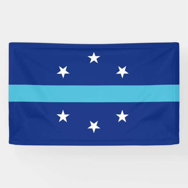 Flagge von Anaheim (Kalifornien, USA) Banner (Horizontal)
