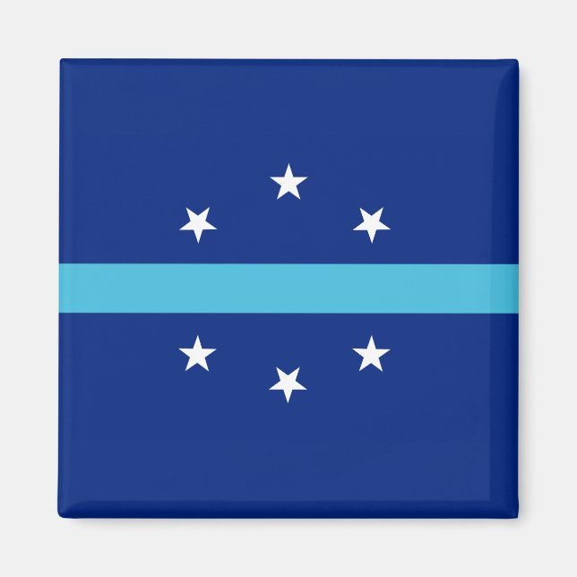 Flagge von Anaheim (Kalifornien, USA) Magnet (Vorne)