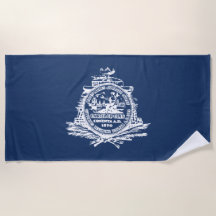 Flagge von Charleston (South Carolina)