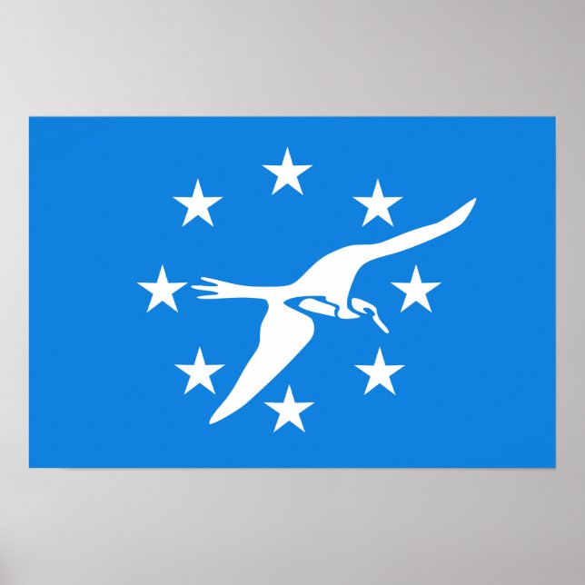 Flagge von Corpus Christi Poster (Vorne)