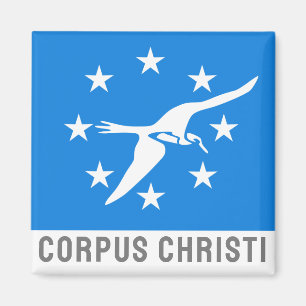 Flagge von Corpus Christi, Texas Magnet