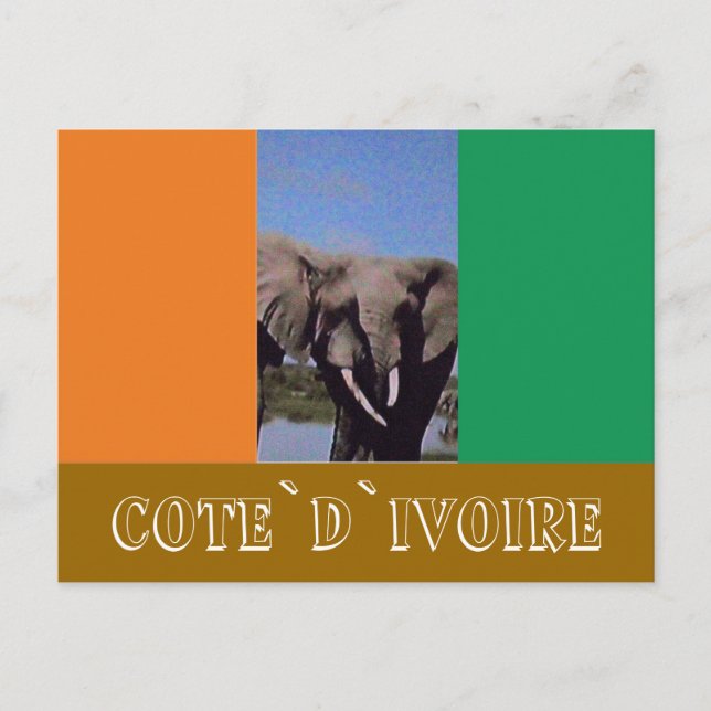 Flagge von Côte d'Ivoire Postkarte (Vorderseite)