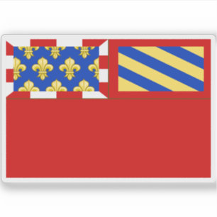 Flagge von Dijon, Frankreich Aufkleber