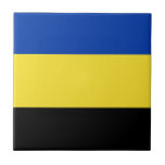 Flagge von Gelderland Fliese<br><div class="desc">Flagge von Gelderland,  eine Provinz in den Niederlanden. Die Fahne ist eine horizontale Trifarbe von blau,  gelb und schwarz. Seine Farben stammen aus dem Wappen von Gelderland,  das wiederum auf dem Wappen des Hertogdom Gelre basierte.</div>