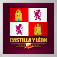 Flagge von Kastilien und Leon