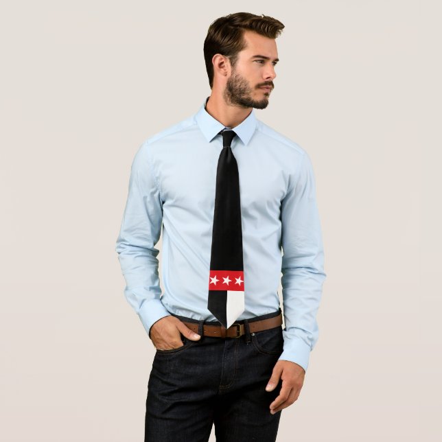 Flagge von Laredo (Texas) Krawatte (Beispiel)