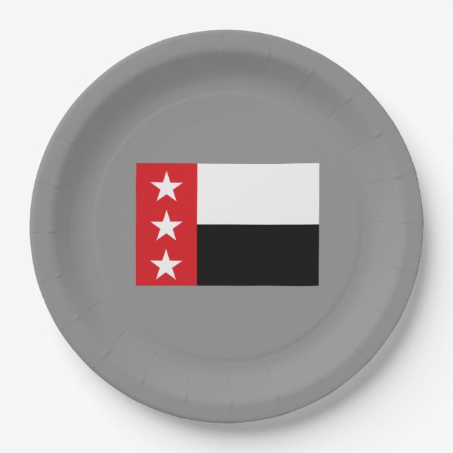 Flagge von Laredo (Texas) Pappteller (Vorderseite)