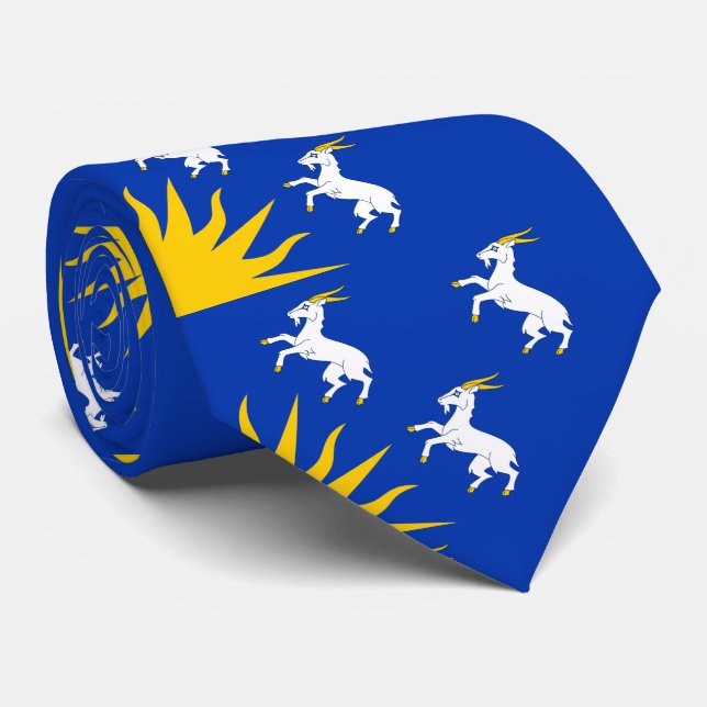 Flagge von Merionethshire Neck Tie Krawatte (Gerollt)