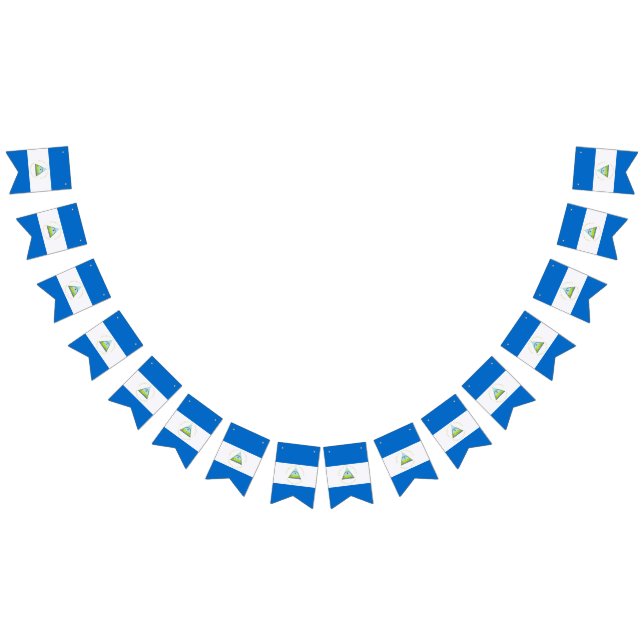 Flagge von Nicaragua (Alle)