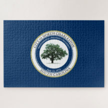 Flagge von Nord-Charleston (South Carolina)