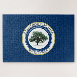 Flagge von Nord-Charleston (South Carolina)