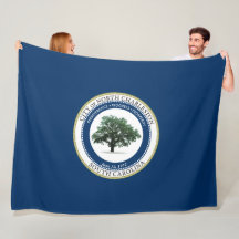 Flagge von Nord-Charleston (South Carolina)